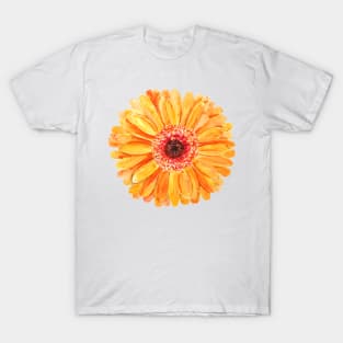 one orange gerbera watercolor T-Shirt